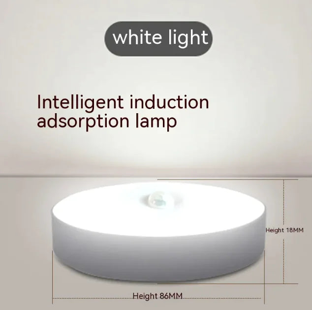 Motion Sensor LED Smart Lamp