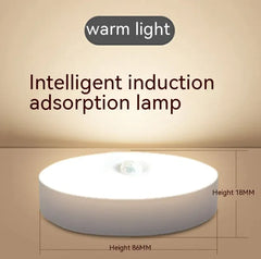 Motion Sensor LED Smart Lamp